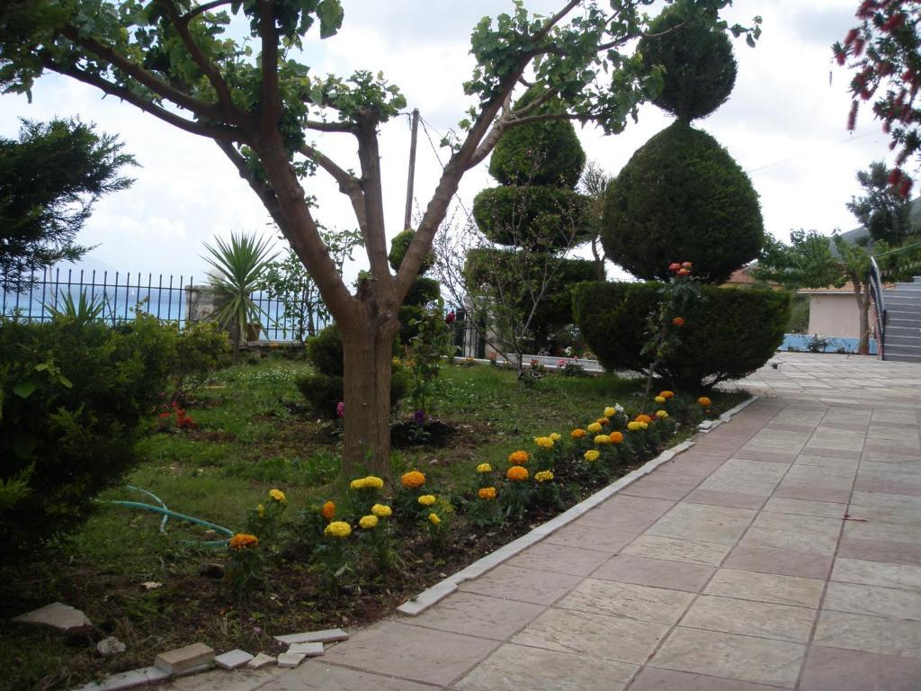 Aparthotel Katerina Lefkada Vasilikí Exterior foto